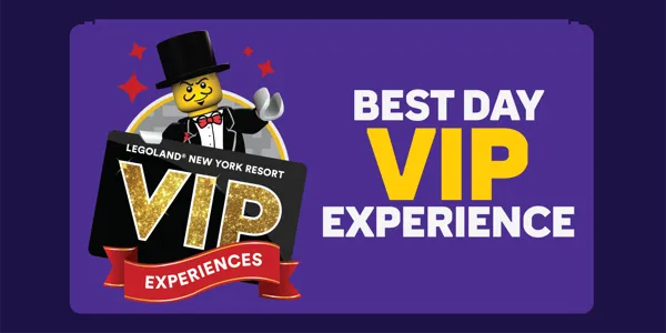 Best Day VIP Experience